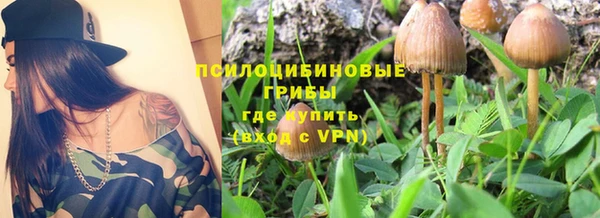 jwh Богородицк