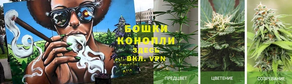 jwh Богородицк