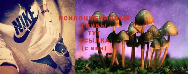 jwh Богородицк