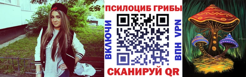 купить   Кремёнки  мега сайт  Псилоцибиновые грибы мицелий 